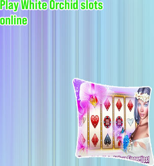White orchid free slots